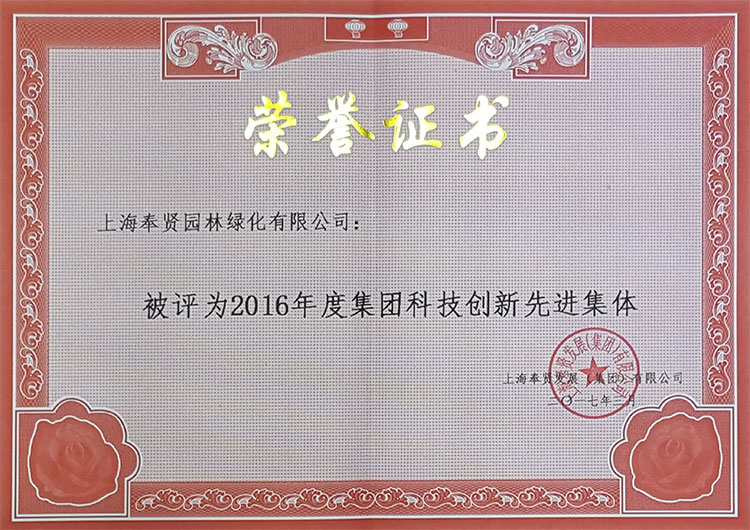 集團證書